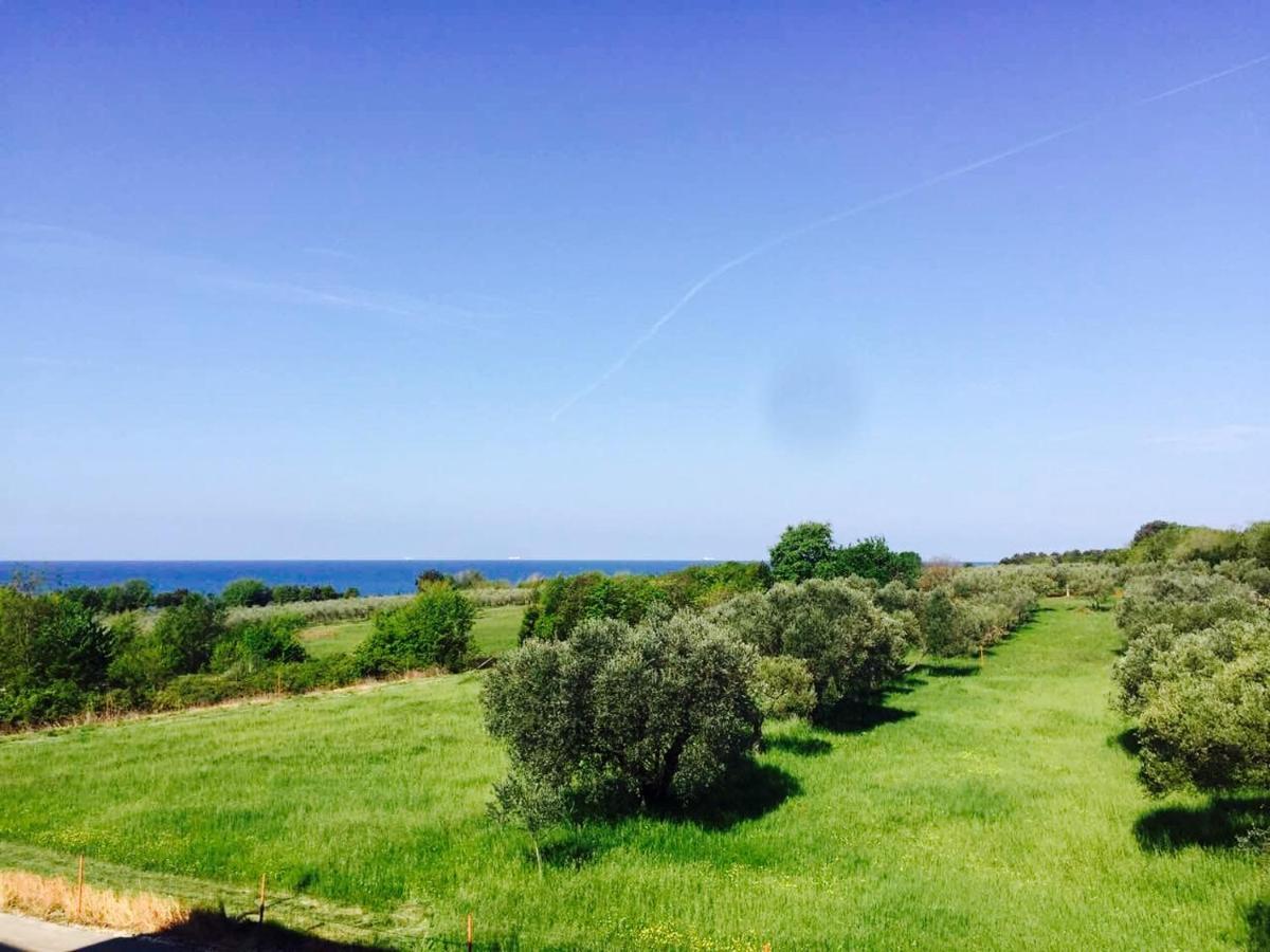אומאג Apartment Mirella מראה חיצוני תמונה